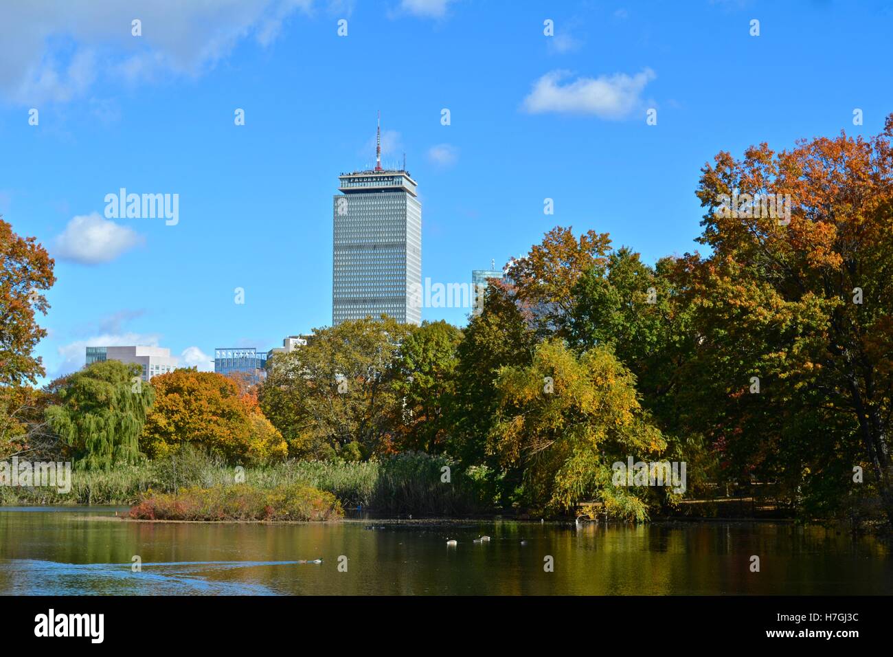 The Fenway Olmsted Park, Muddy River, and Victory Gardens in Boston's