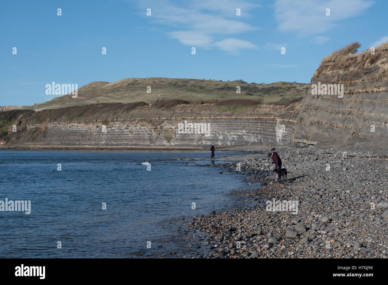 Fossil hunting on the beach at Kimmeridge Bay, Dorset Stock Photo Alamy