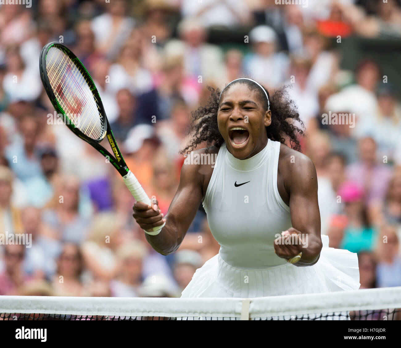 Serena Williams (USA) celebrating at the Wimbledon 2016 final Stock Photo -  Alamy