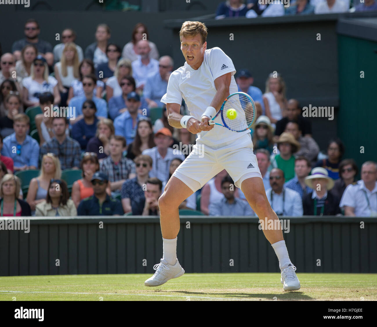 Tomas Berdych (CZE) in action at Wimbledon 2016 Stock Photo