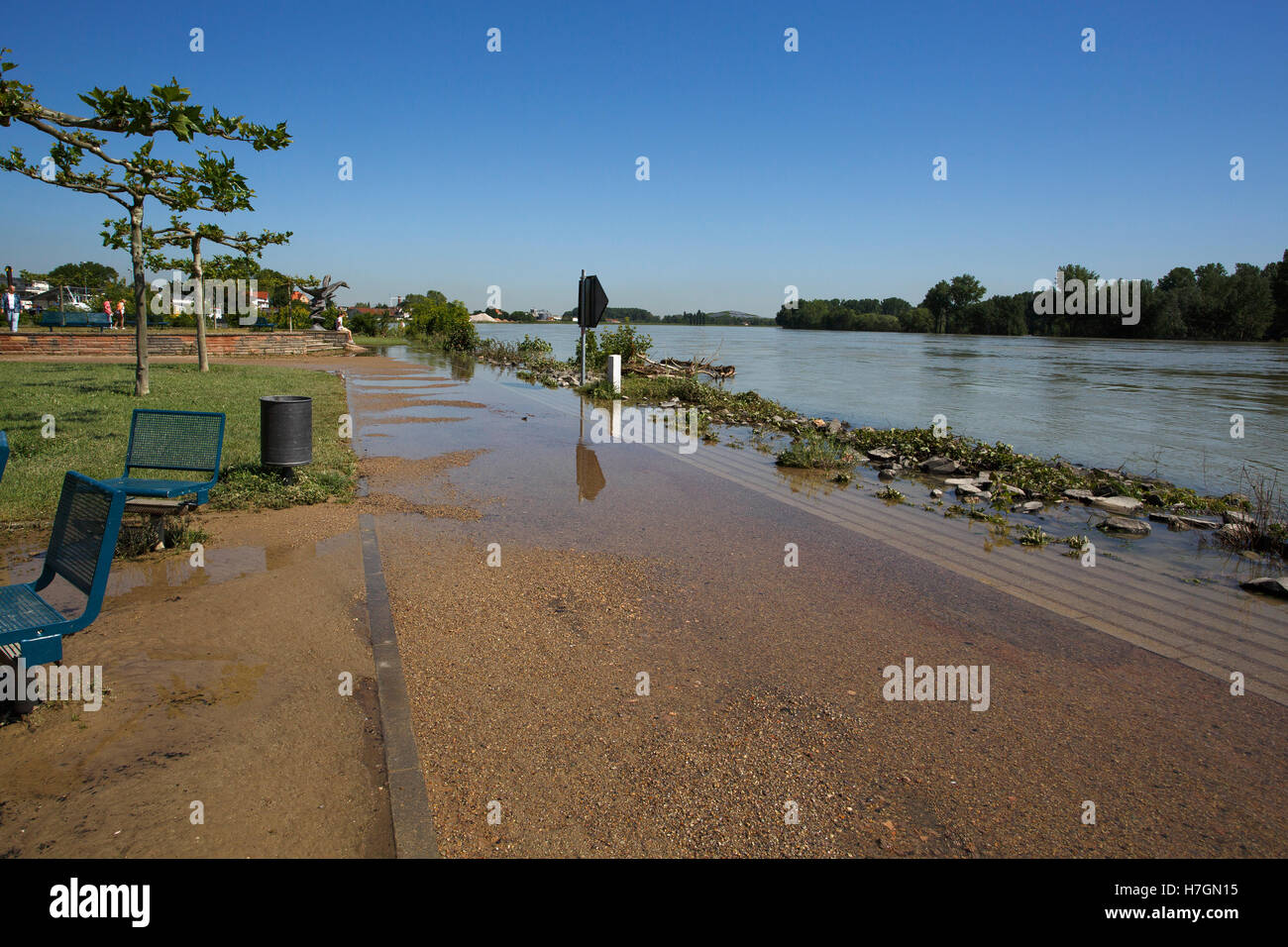 View of Rhine High Water in Speyer in June 2013 on a sunny day Stock Photo