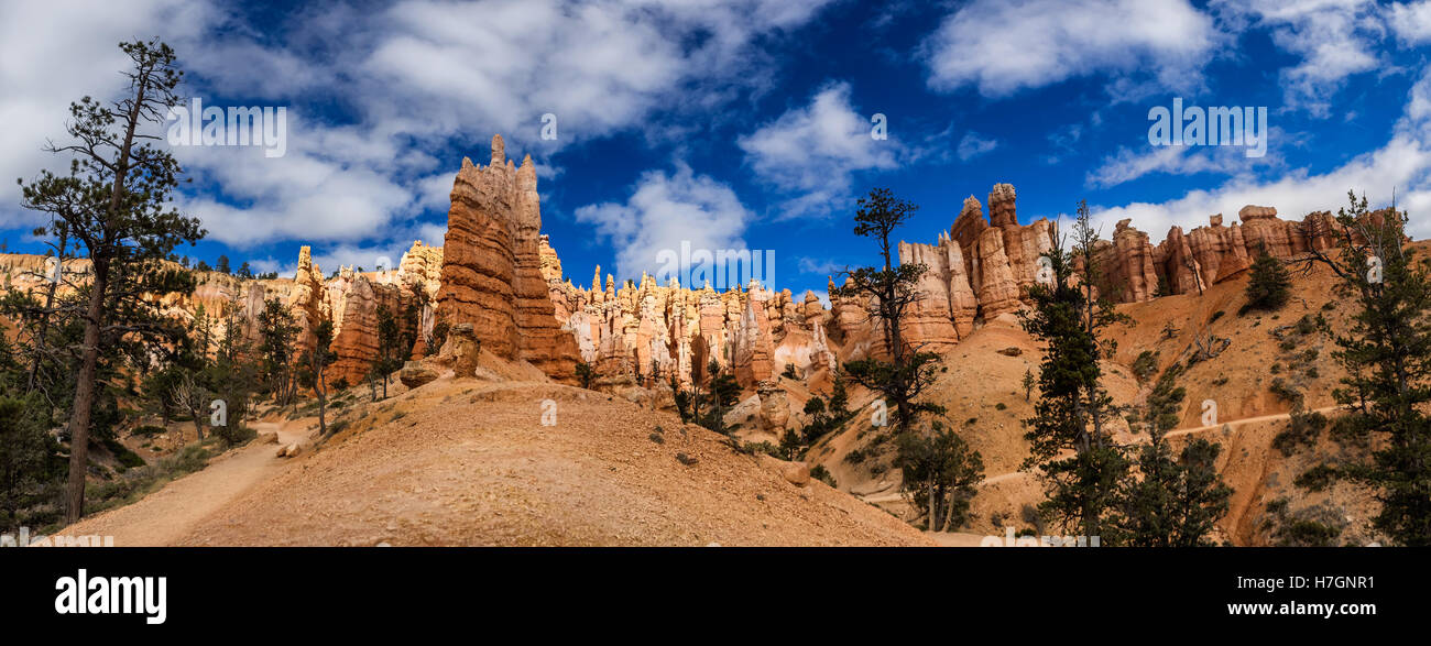 Bryce Canyon hoodoos Navajo Trail, Utah USA Stock Photo