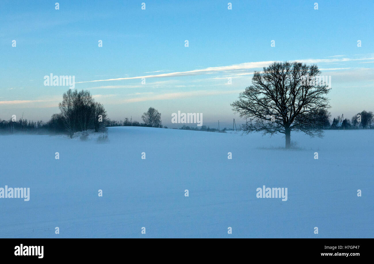 Sauka nature park wintry landscape in Selija region Latvia Stock Photo