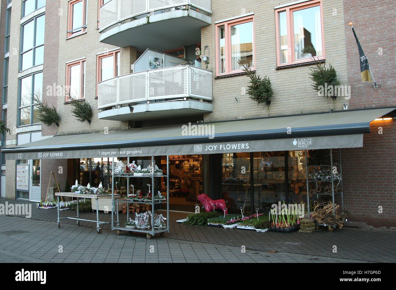 Festive plant stands outside Joy Flowers shop on Walravenstraat in the