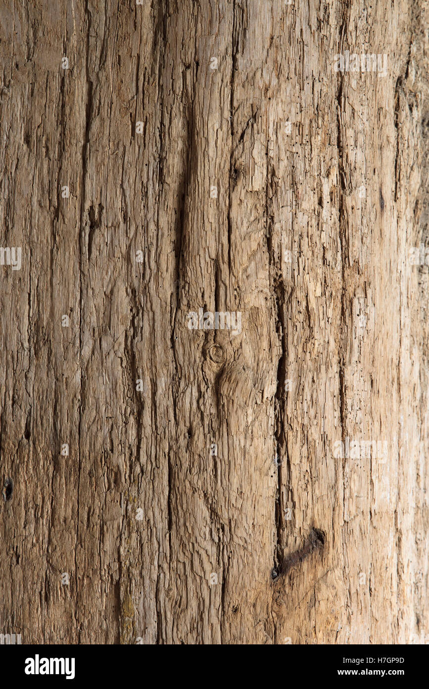 Contours of an ancient wooden beam Stock Photo
