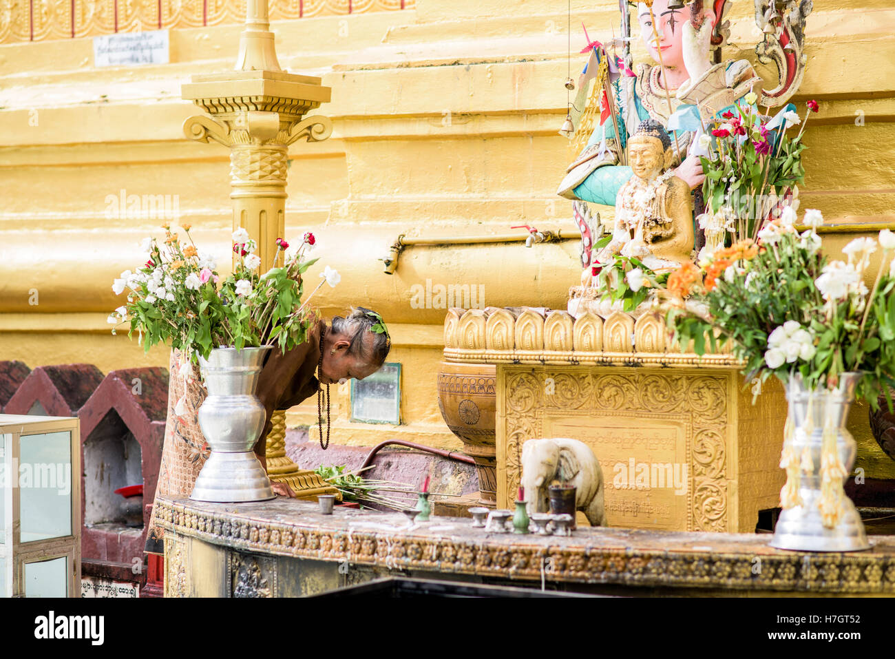 Old woman preying at Shwedagon pagoda Stock Photo