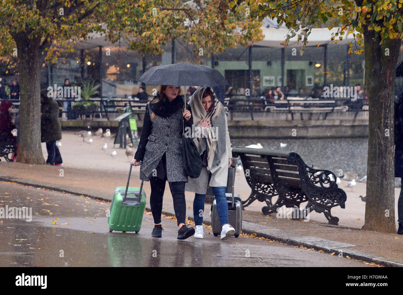 London, UK, 4 November 2016, Rainy day in Hyde Park in November as cold weather approaches