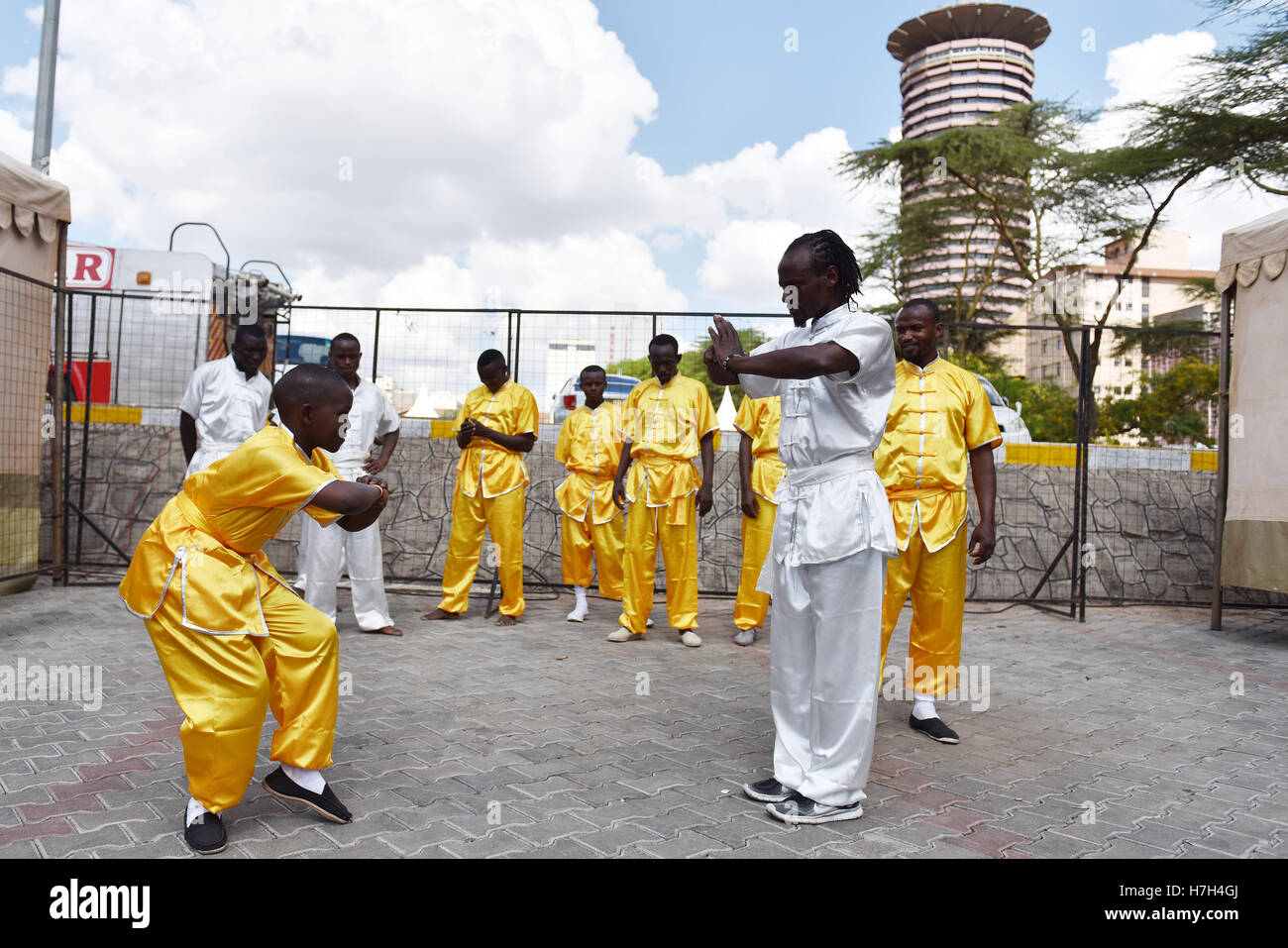 Nairobi, Kenya. 5th Nov, 2016. A young boy and a member from a local martial arts club salute each other during the Kungfu Festival in Nairobi, Kenya, Nov. 5, 2016. Credit:  Sun Ruibo/Xinhua/Alamy Live News Stock Photo