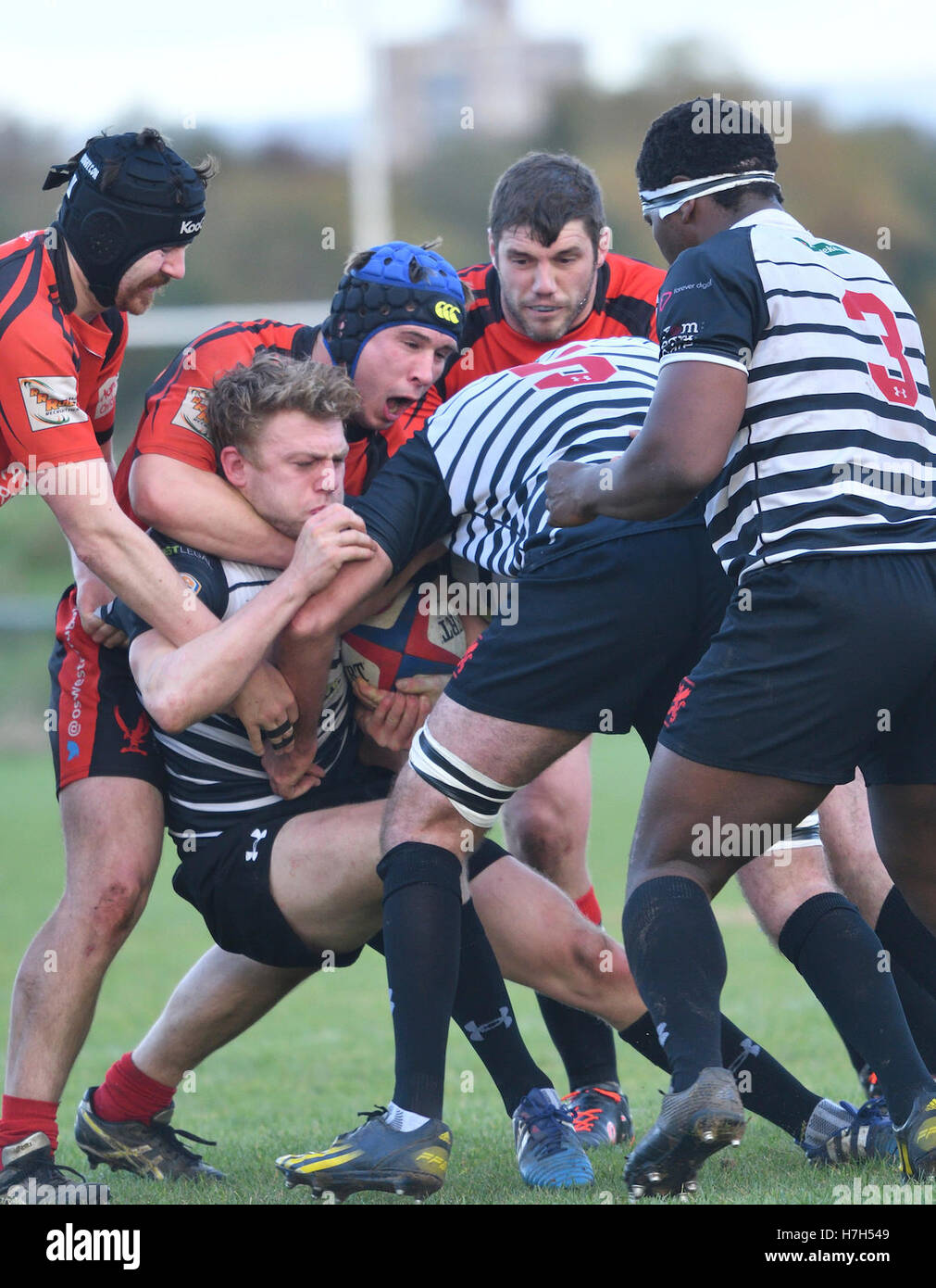 Manchester, UK. 5th Nov, 2016. Action from the South Lancashire/Cheshire Division 1 match between Broughton Park, in black, and Oswestrys, in red. Broughton Park win 62-0, after leading 22-0 at half-time to move into second place and keep Oswestry in bottom place. Credit:  John Fryer/Alamy Live News Stock Photo