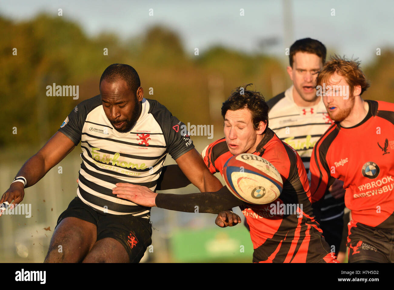 Manchester  UK 5th November 2016  Action from the South Lancashire/Cheshire Division 1 match between Broughton Park, in black, and Oswestrys, in red. Broughton Park win 62-0, after leading 22-0 at half-time to move into second place and keep Oswestry in bottom place. Stock Photo