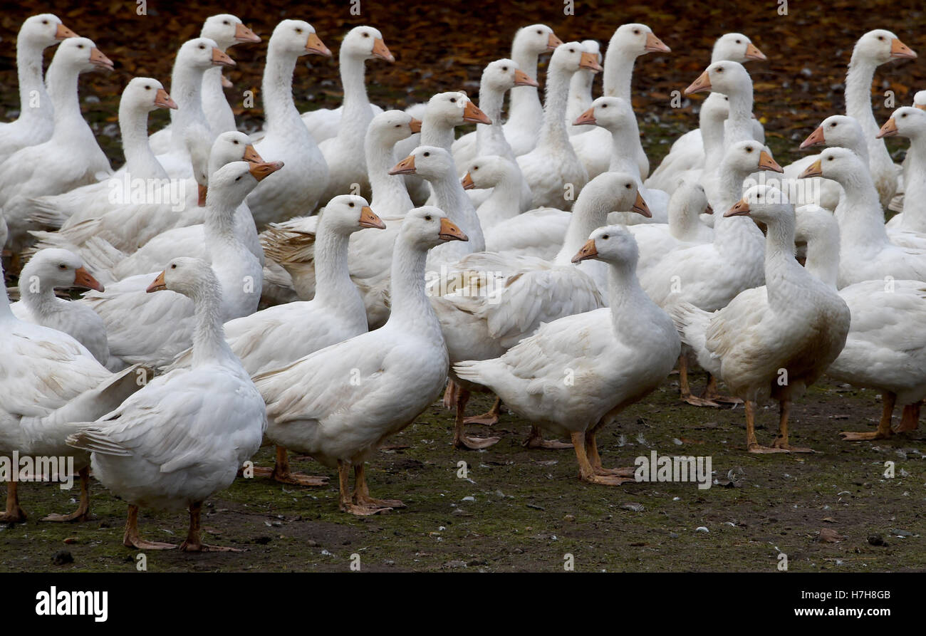 Essen und trinken foto hi-res stock photography and images - Alamy