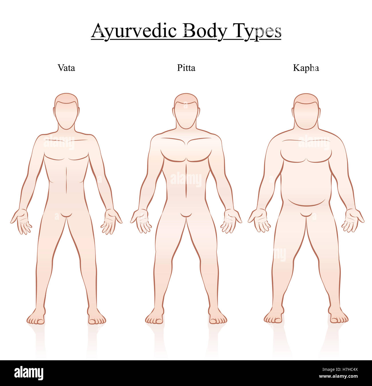 Ayurvedic body constitution types - vata, pitta, kapha. Outline illustration of three men with different anatomy. Stock Photo