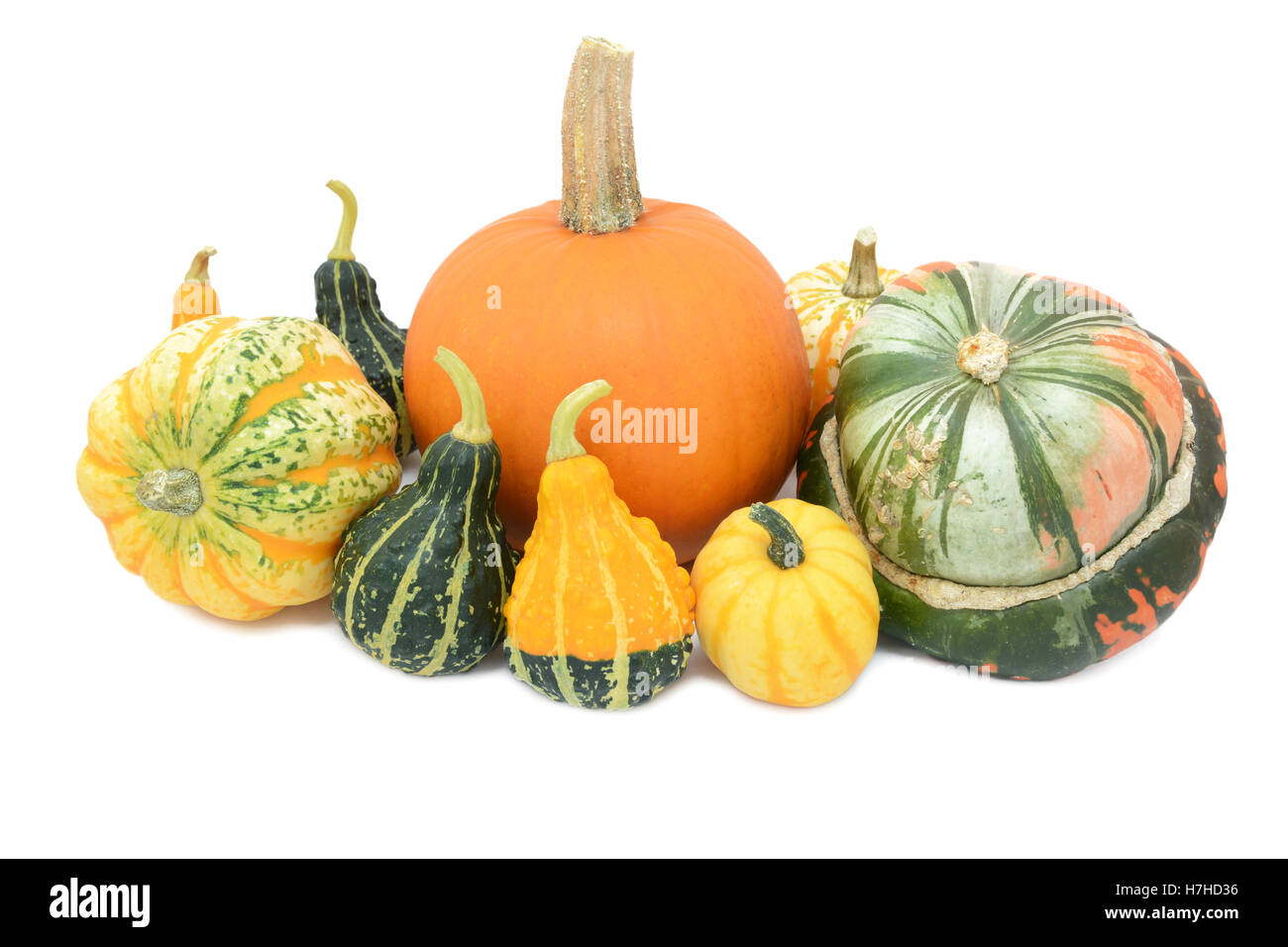 Group of cucurbits - pumpkin, Festival squash, Turks turban and ornamental gourds, isolated on a white background Stock Photo