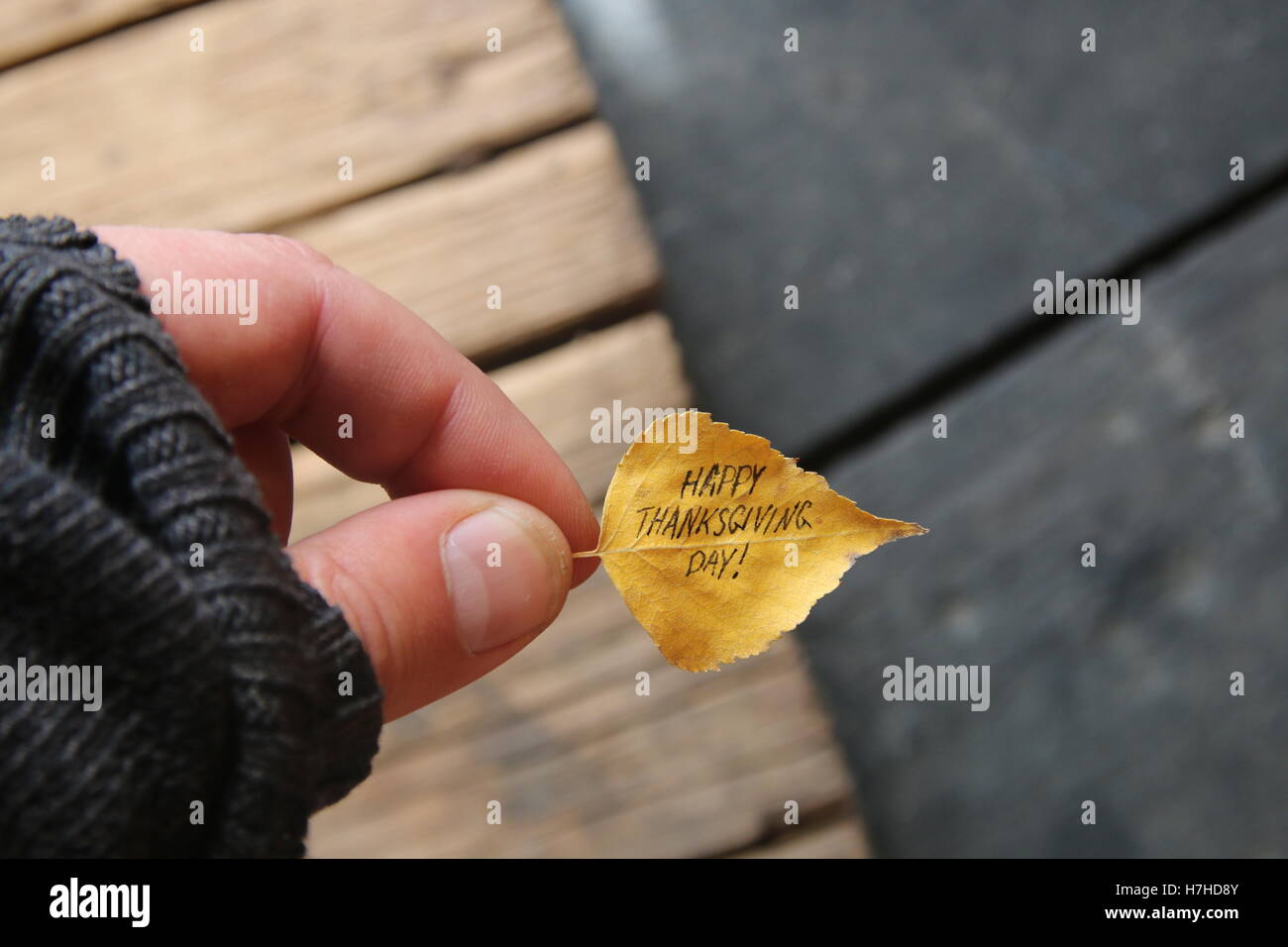 Happy Thanksgiving - text and autumn leaf Stock Photo