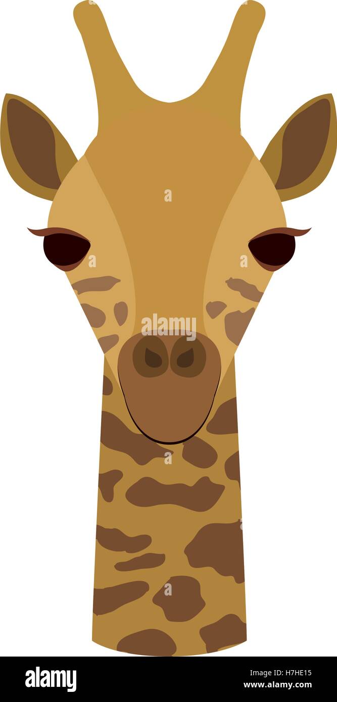 giraffe face animal cartoon icon over white background. colorful design.  vector illustration Stock Vector Image & Art - Alamy