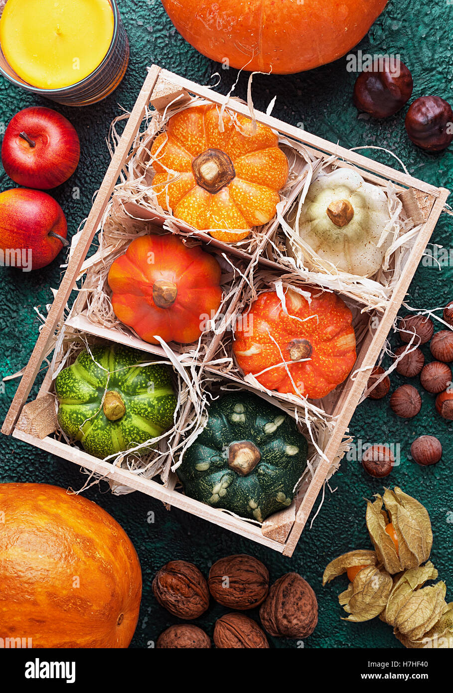 Wooden box with set of different pumpkins top view surrounded autumn ...