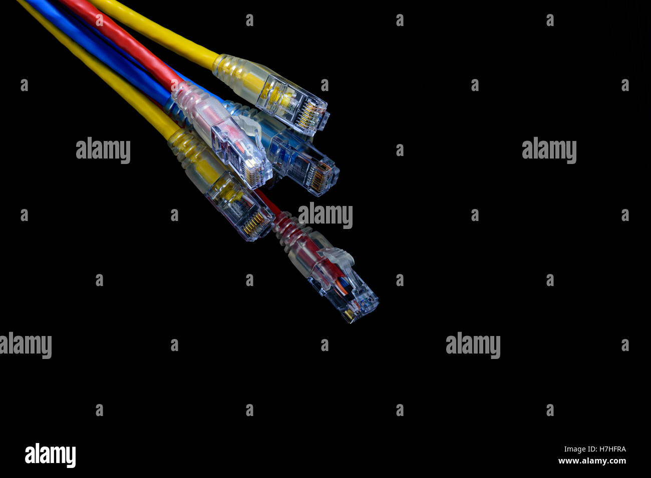 Close up UTP cables patch cord, isolated on black background Stock