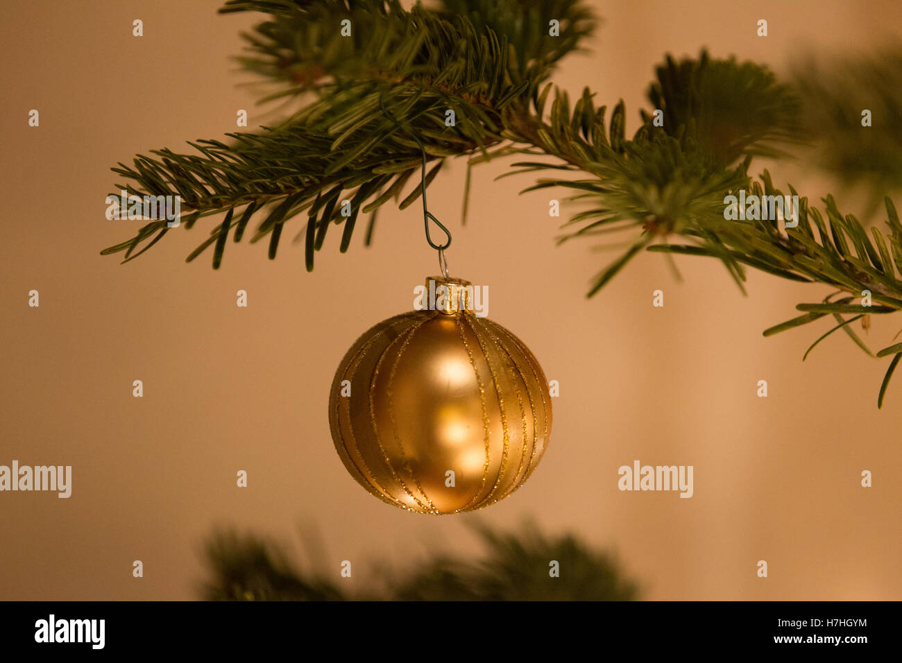 A gold coloured bauble hanging on a Christmas tree Stock Photo