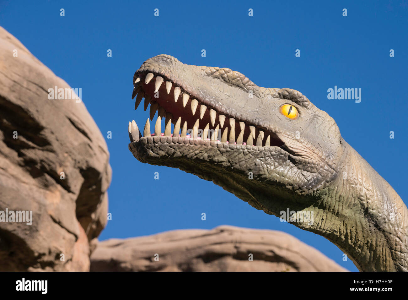 Ankylosaurus magniventris armored dinosaur reconstruction, model Stock Photo