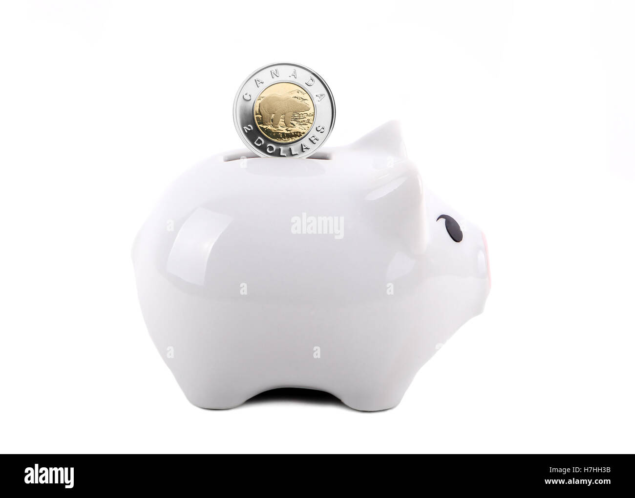 White piggy bank with Canadian dollar coin in the slot. Concept of saving for a rainy day, education, retirement, etc. Isolated Stock Photo