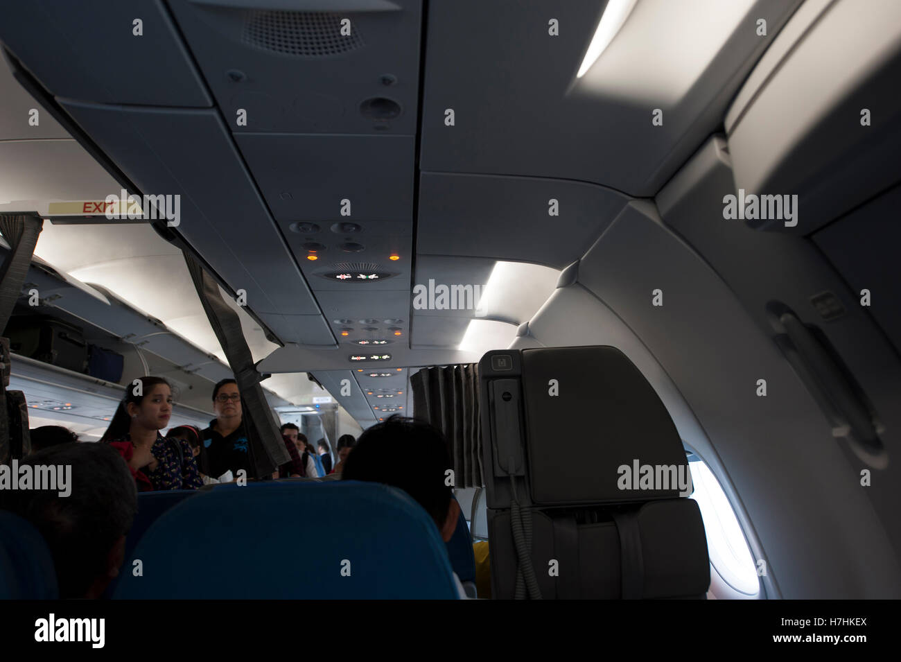 Does Philippine Airlines Allow Dogs In Cabin