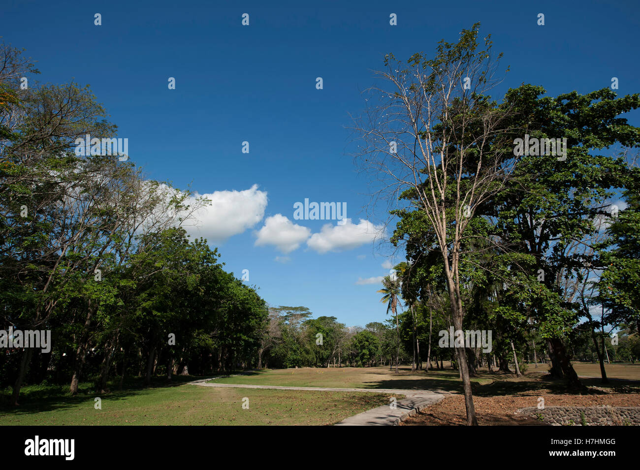 Apo Golf & Country Club, Davao, Mindanao, Philippine Islands, South