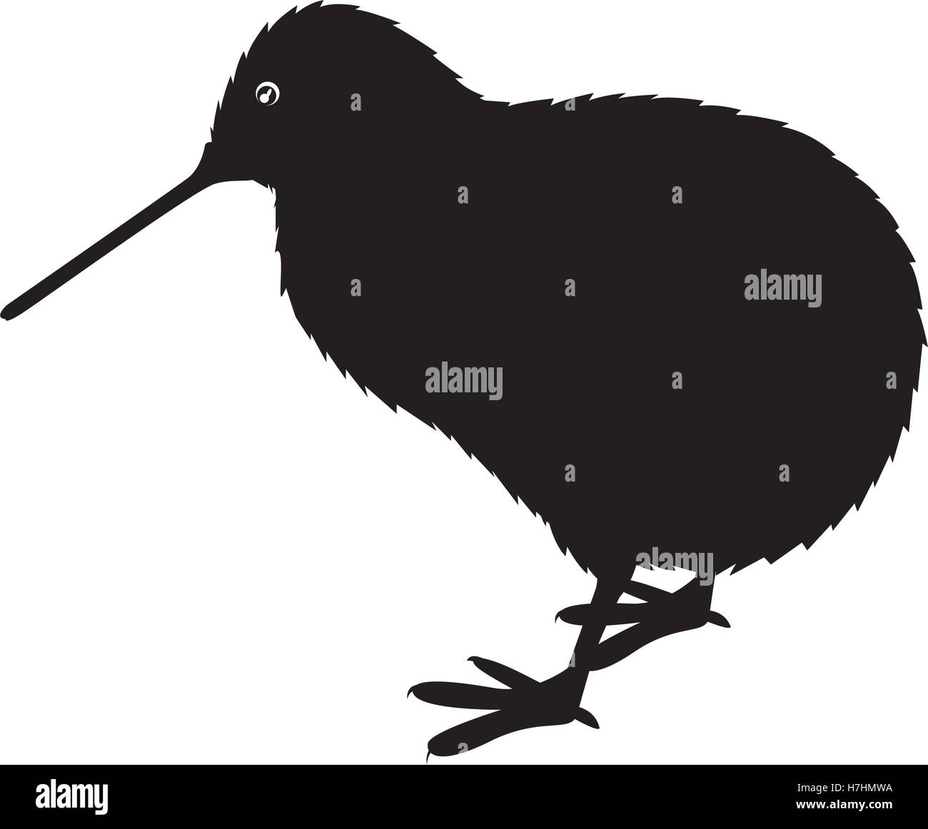 New Zealand Symbol High Resolution Stock Photography and Images Alamy