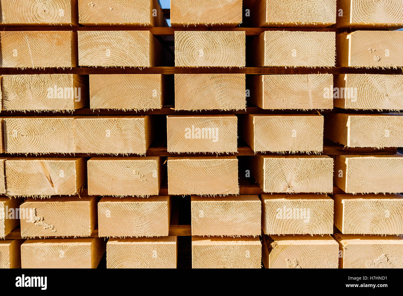 End part of stacked lumber. Growth rings visible at the ends of the