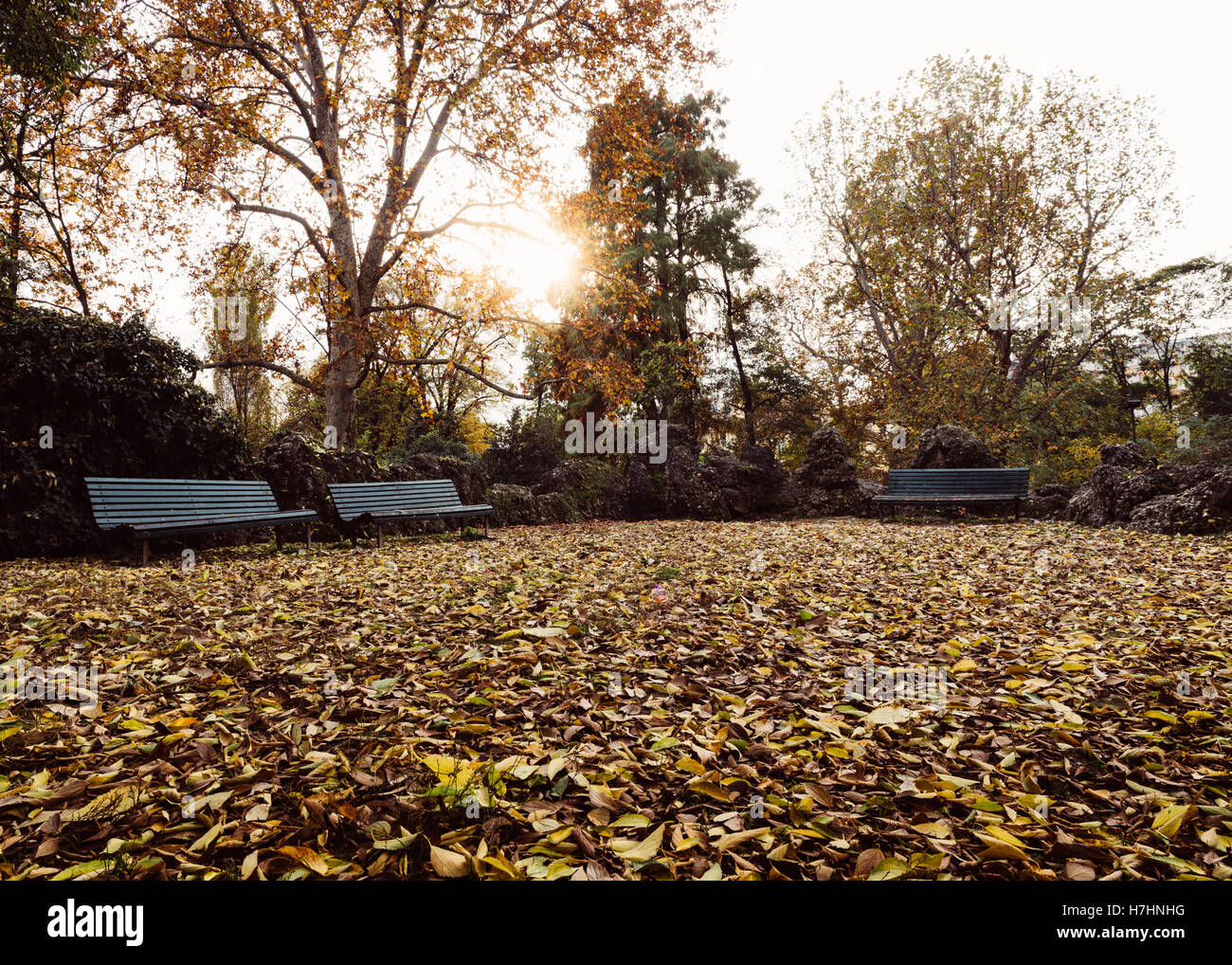 Autumn leaves in the park with benches Stock Photo - Alamy