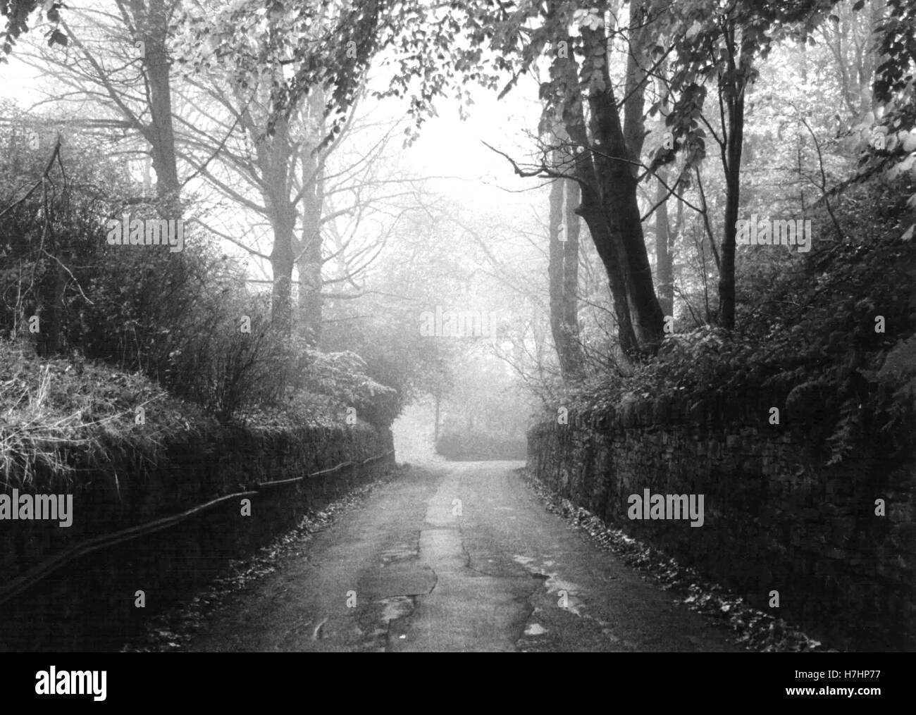 Rawson rake, Ramsbottom Stock Photo - Alamy