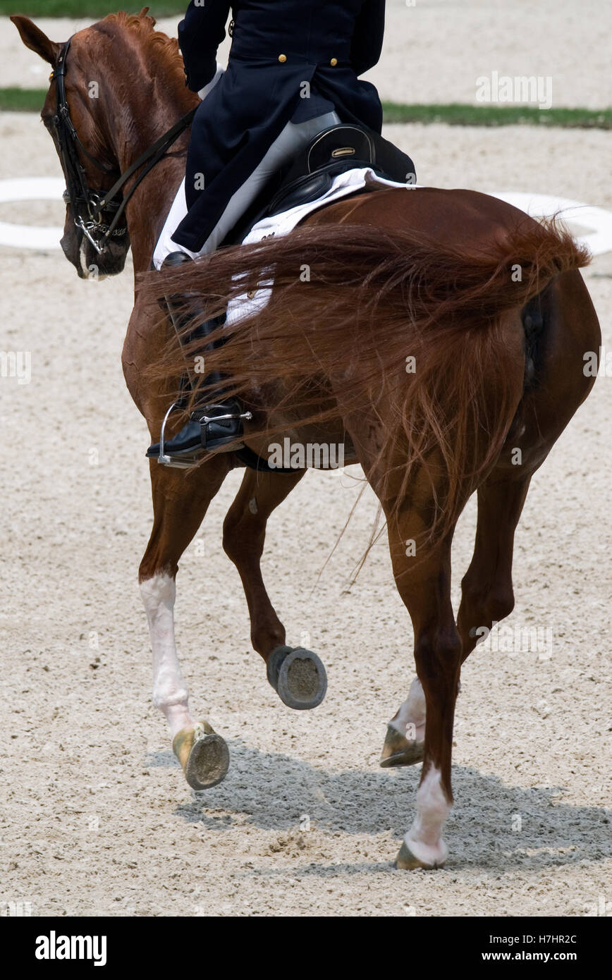 Dressage riders hi-res stock photography and images - Alamy