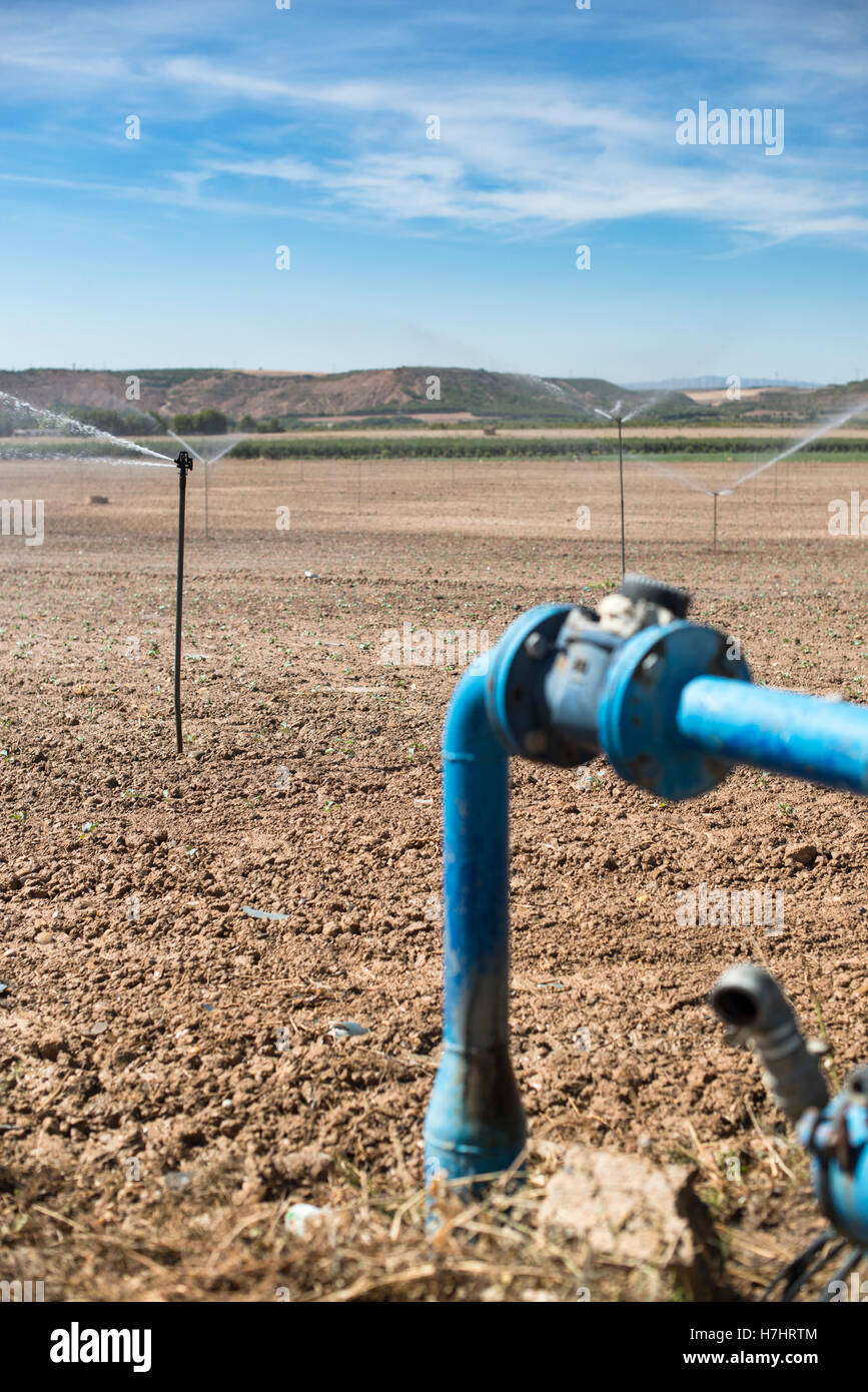 Agriculture pipes and tap water for watering plants Stock Photo