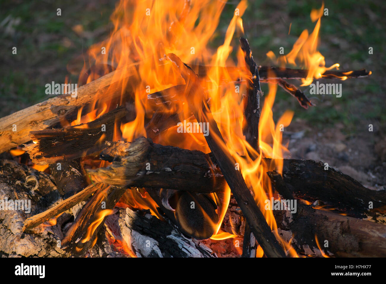 Burning wood, ember and logs on fire. Camp fire Stock Photo - Alamy