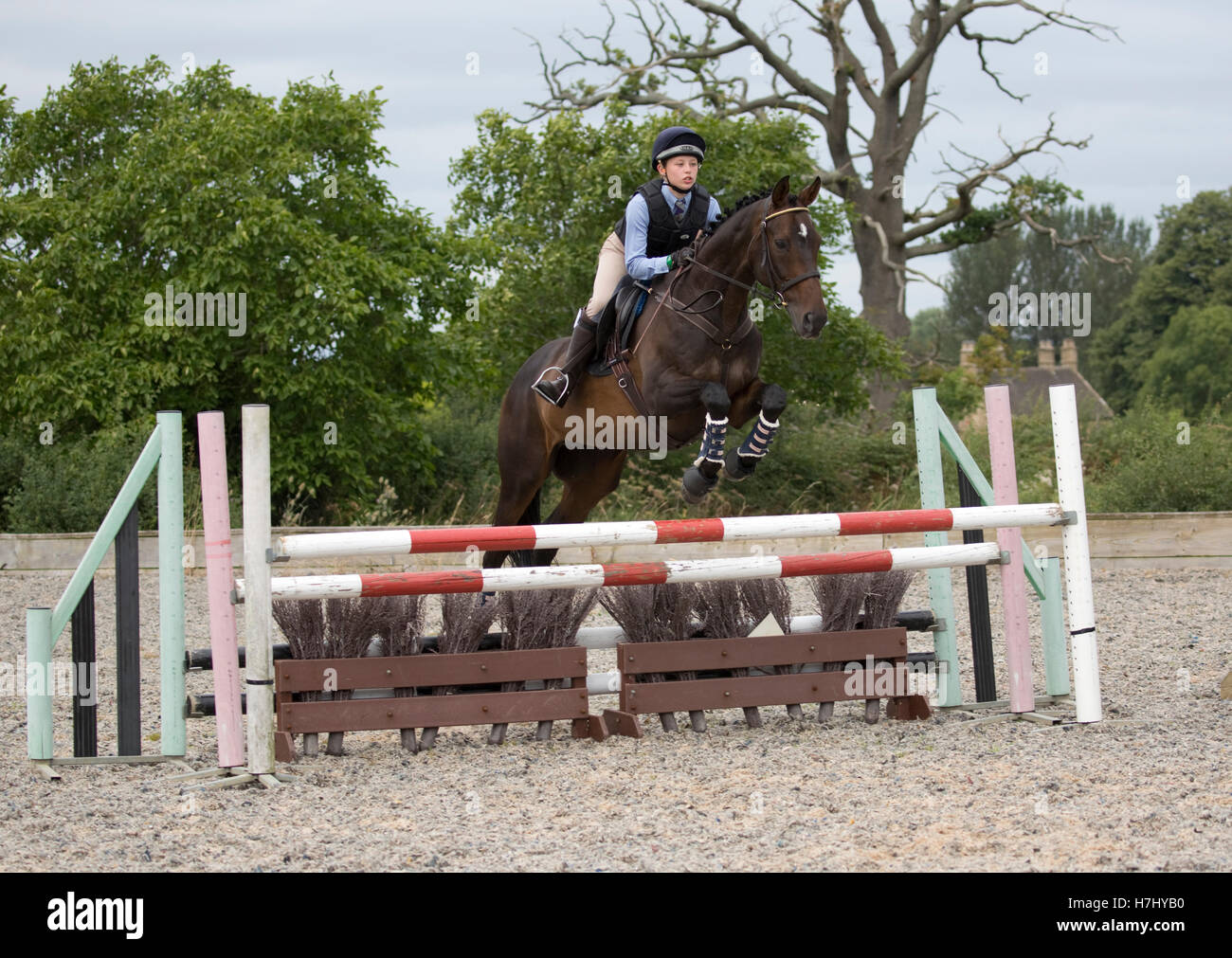 Horse jumping hires stock photography and images Alamy