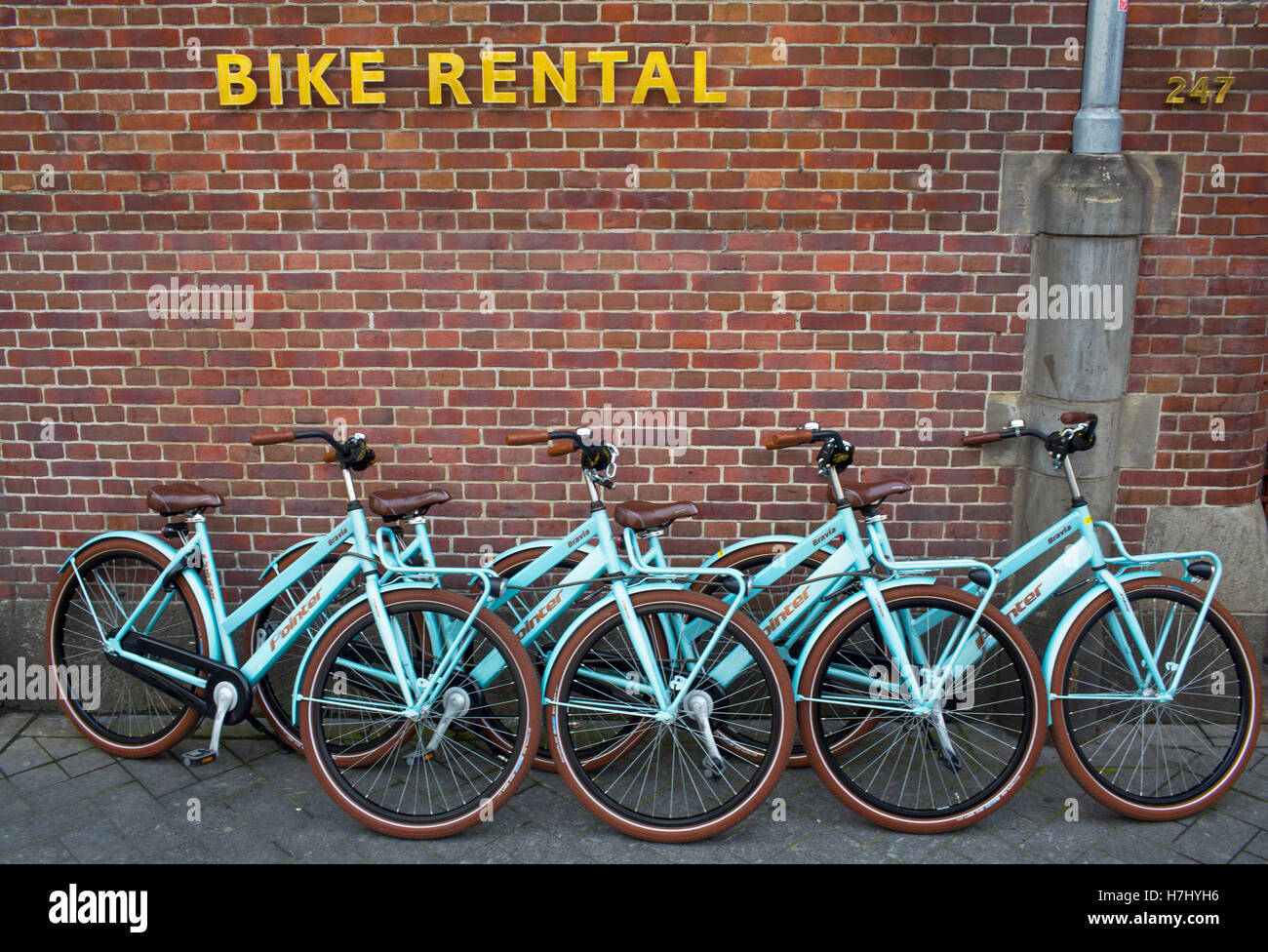bicycle rental in Amsterdam Stock Photo Alamy