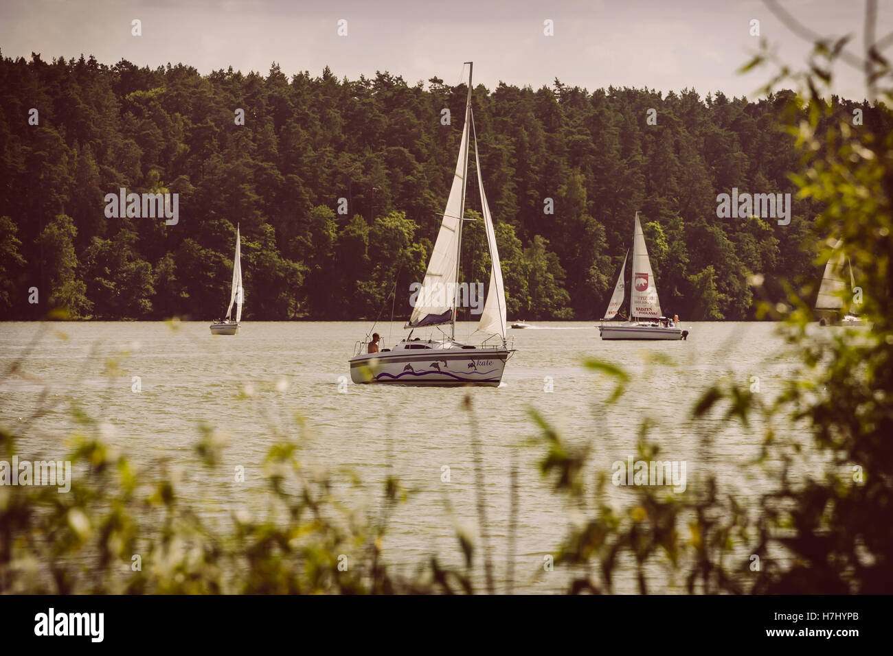 A sepia shot of sailboats sailing on a lake with a forest in the background and foliage in the foreground. Stock Photo