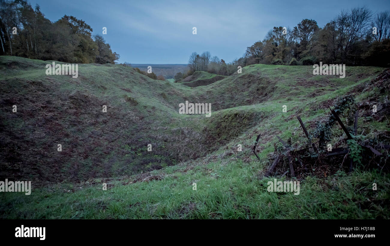 First World War battlefield, Butte De Vauquois, Verdun, France Stock ...