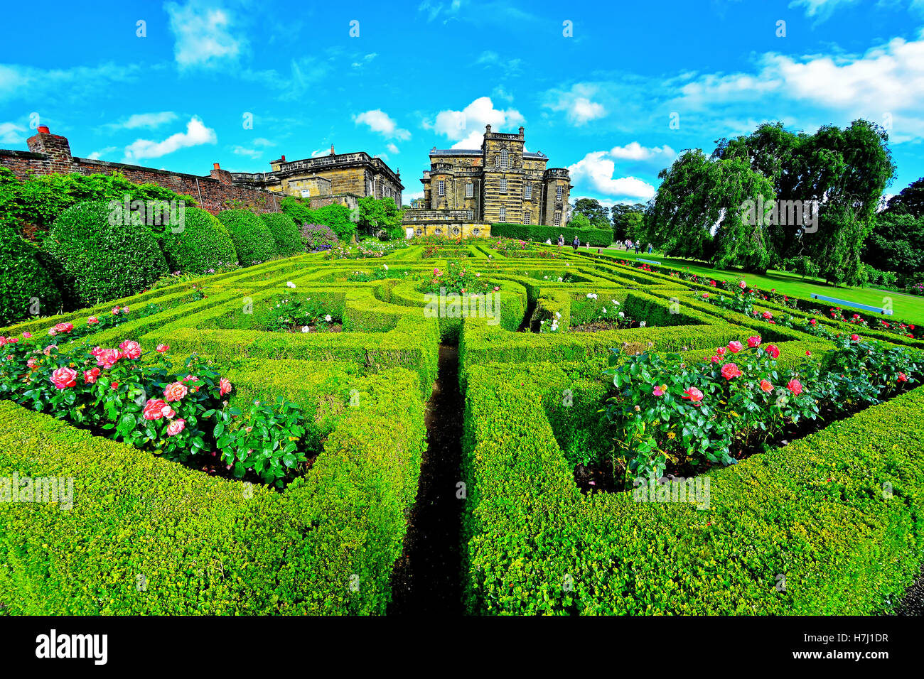 Rose Garden And Maze At Seaton Delaval Hall NT Stock Photo Alamy rose-garden-and-maze-at-seaton-delaval-hall-nt-stock-photo-alamy