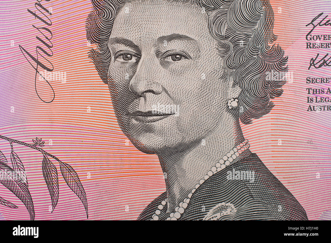 Australian Five Dollar Banknote Close Up Stock Photo - Alamy