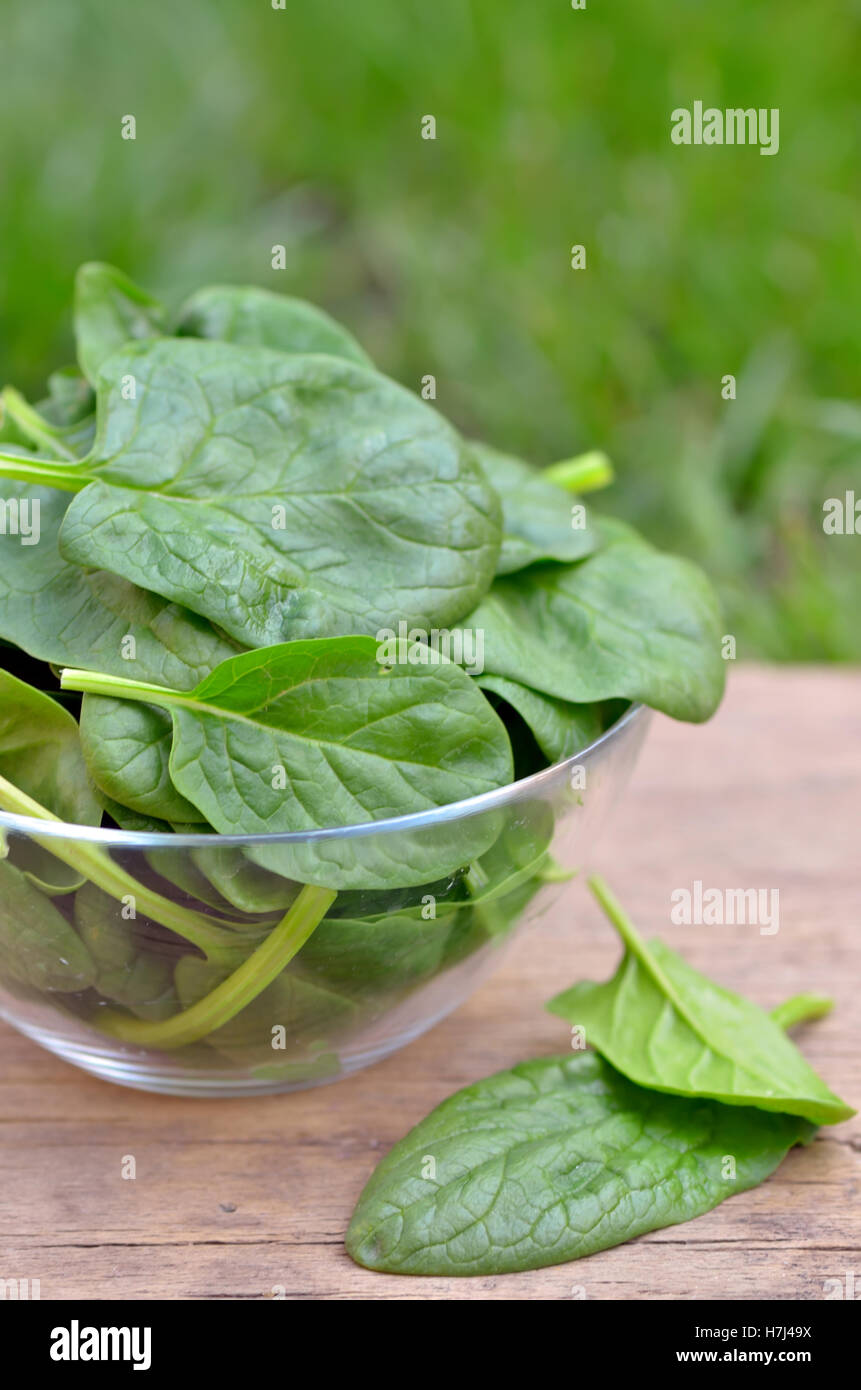 Spinach in a glass bowl on the wooden table Stock Photo
