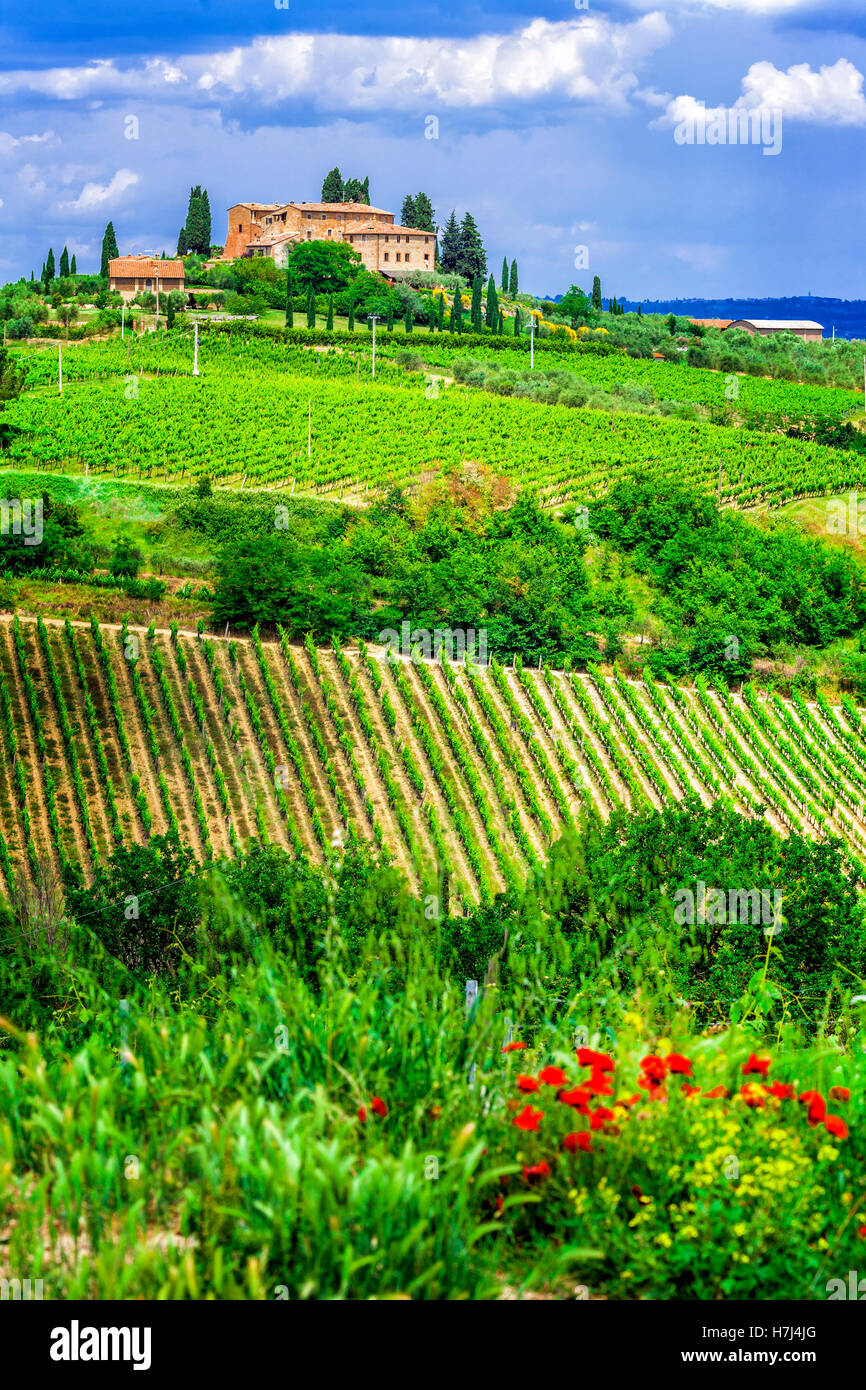 Countryside farmland tree hi-res stock photography and images - Alamy