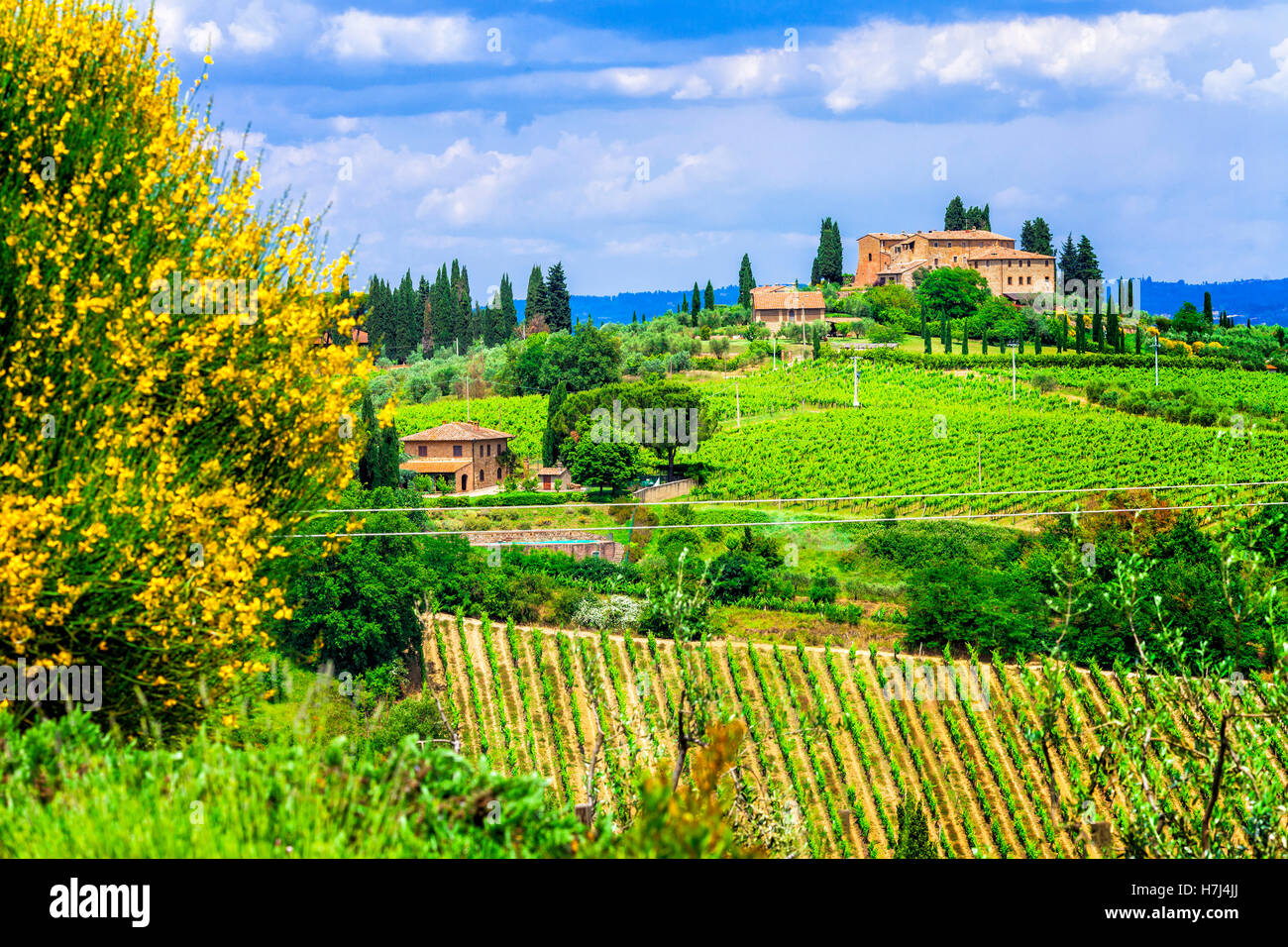 Pictorial Tuscany countryside,Italy. Stock Photo