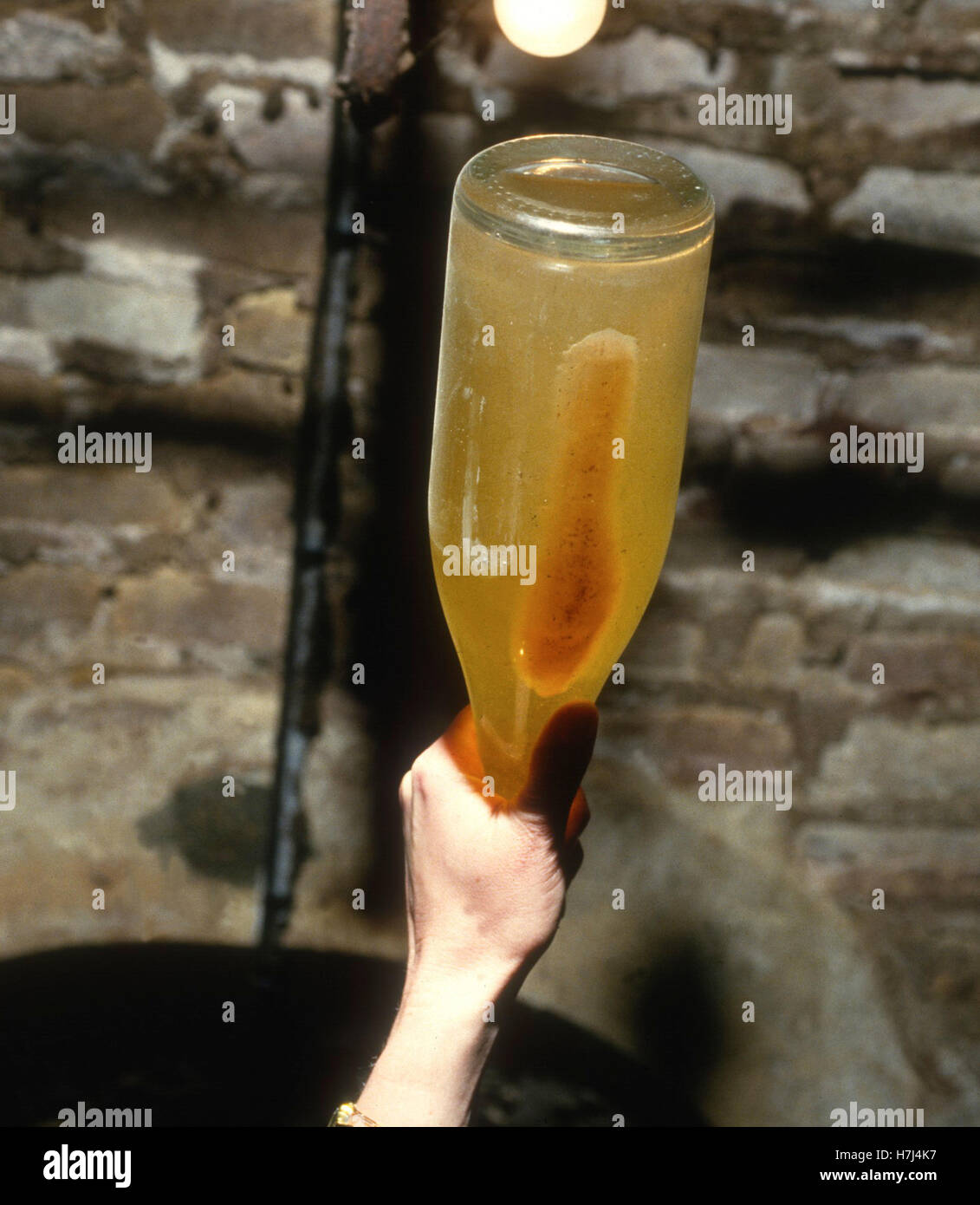 CHAMPAGNE Precipitates in a bottle of Champagne  to take out when the Corks Stock Photo