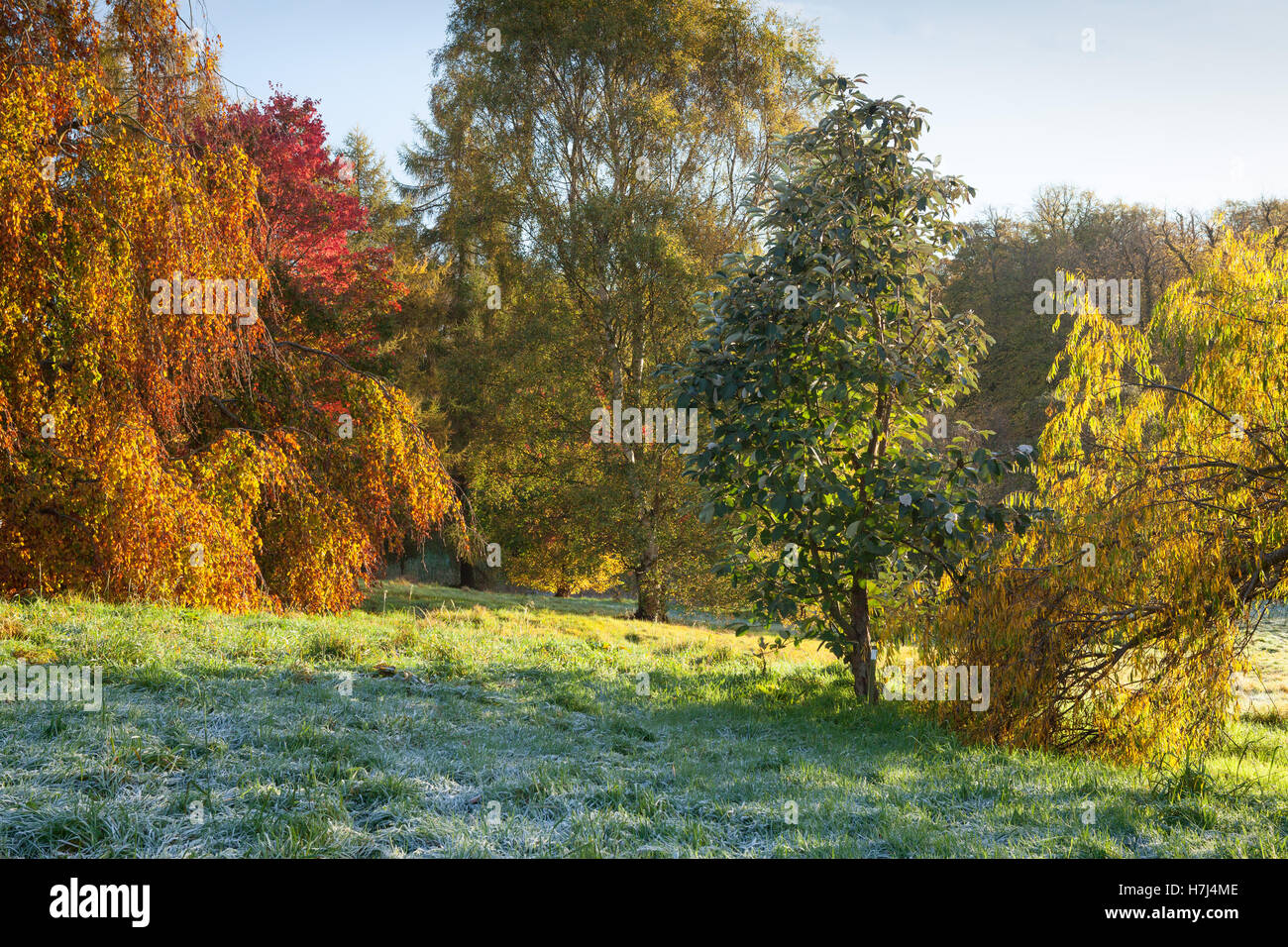 The Yorkshire Arboretum In Autumn Castle Howard York UK 2nd 