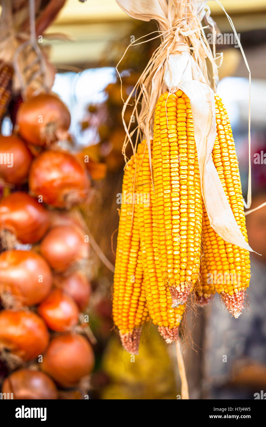 Still life onion plant hi res stock photography and images Alamy Still life onion plant hi res stock photography and images Alamy