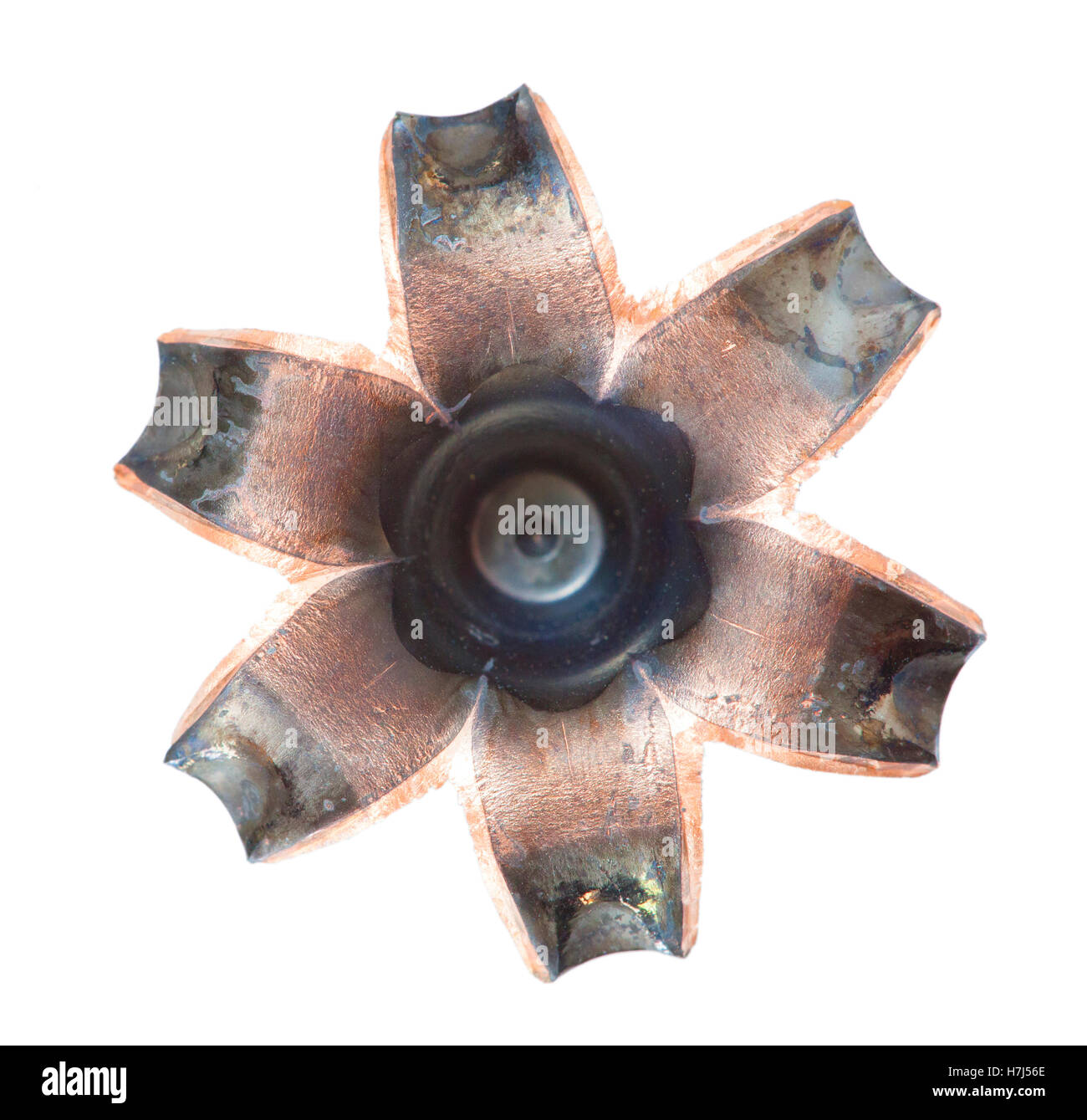 Hollow point bullet that has expanded isolated on a white background