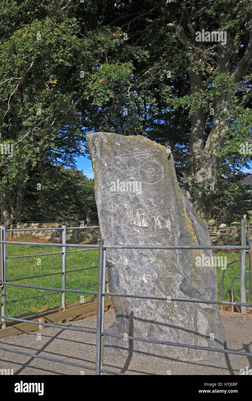 The Picardy Stone, a Pictish symbol stone near Insch, Aberdeenshire, Scotland, United Kingdom. Stock Photo