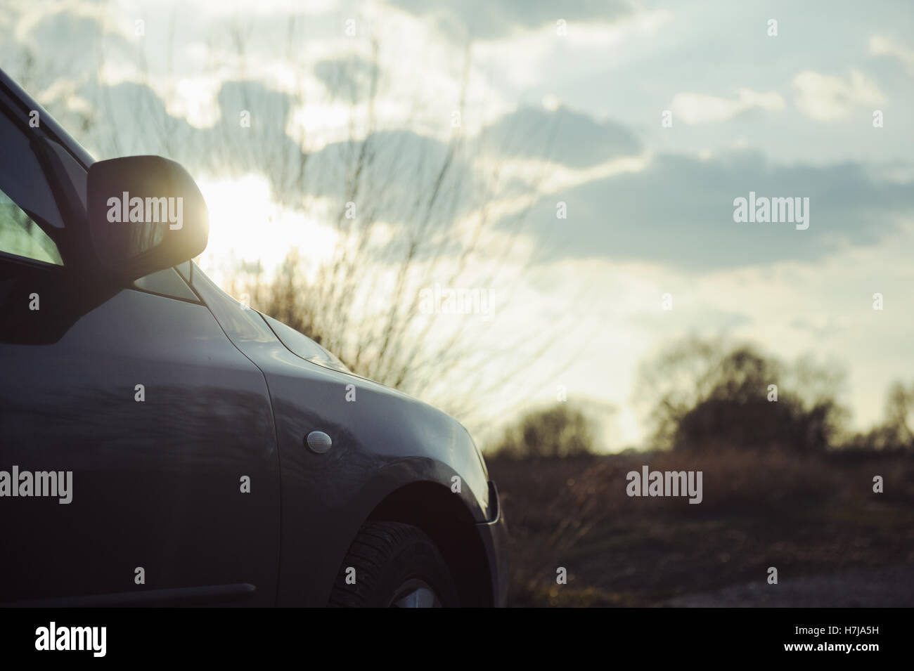 Gray hatchback car parked next to the wood Stock Photo Alamy