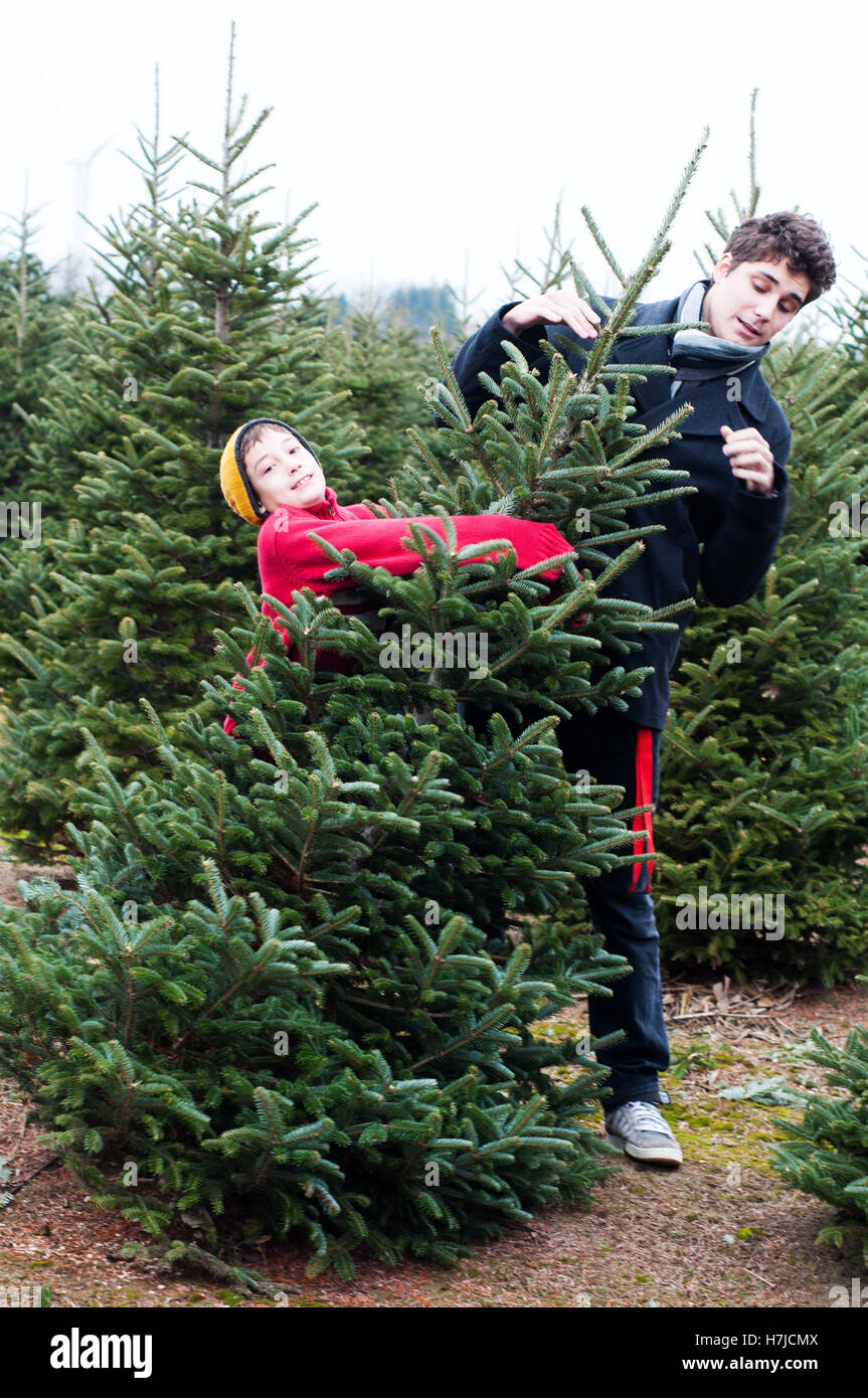 having fun at the cut your own christmas tree farm Stock Photo Alamy
