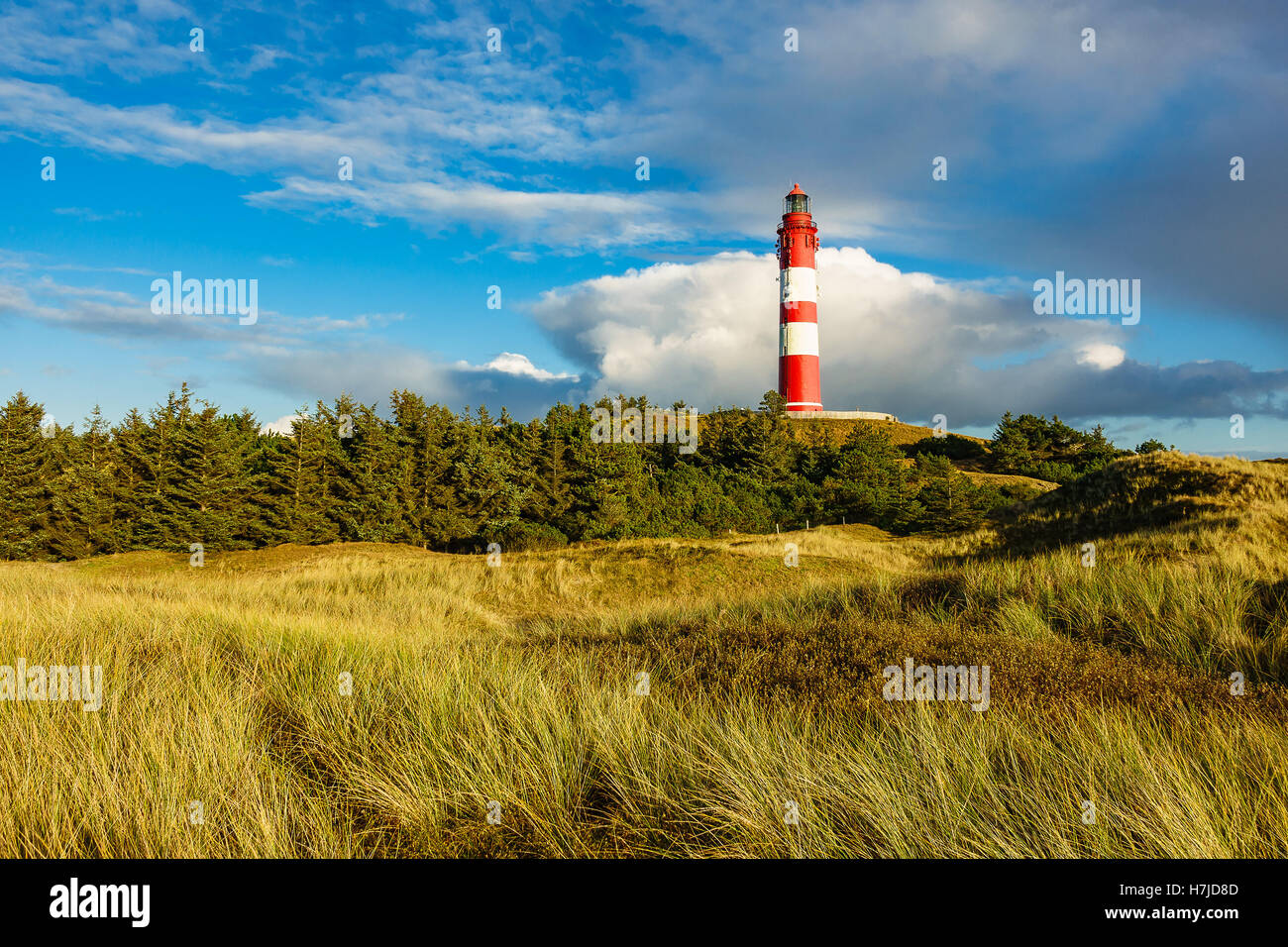 Lighthouse in Wittduen on the island Amrum, Germany Stock Photo